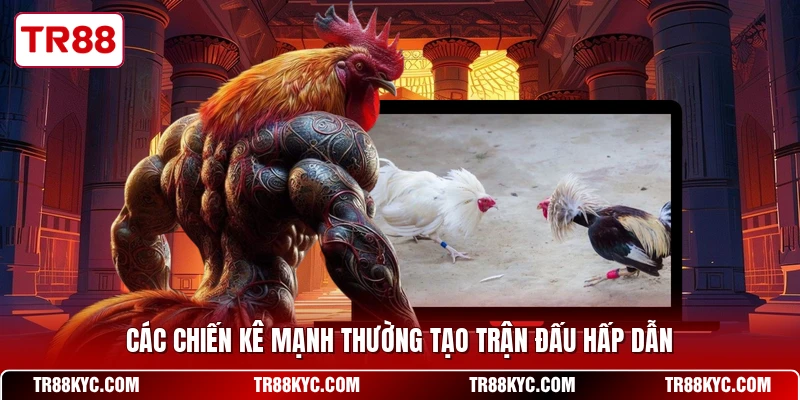 Các chiến kê mạnh thường tạo trận đấu hấp dẫn