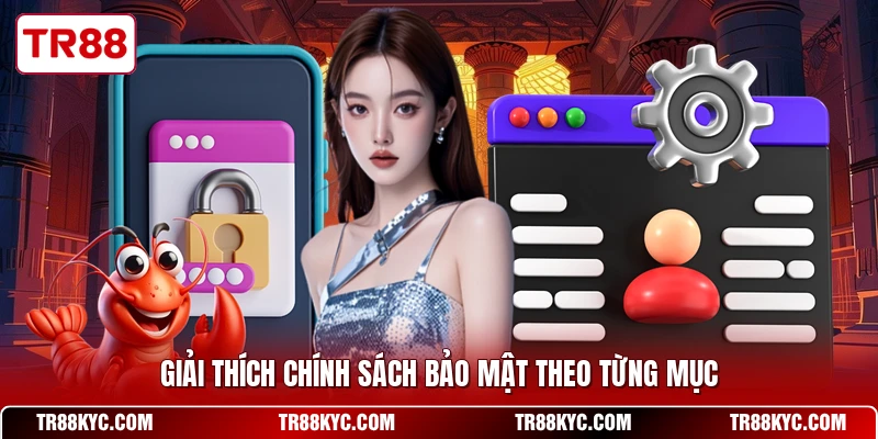 Giải thích chính sách bảo mật theo từng mục